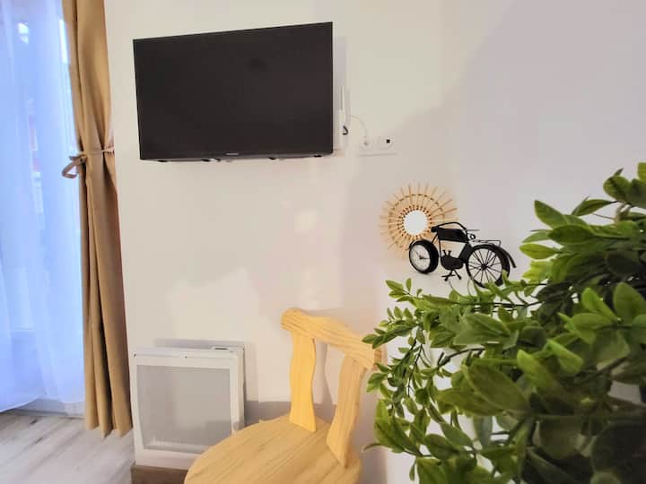 [Ribère 2] Studio De Plain-pied, Sanctuaire - Lourdes