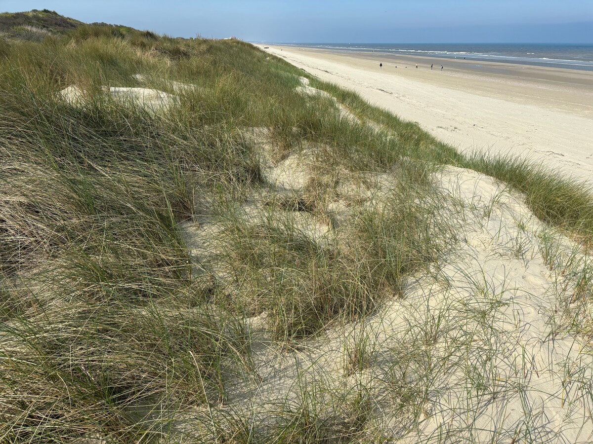 A sandy beach stretches into the distance, bordered by lush green dunes. Grasses sway gently in the breeze, providing a natural separation between the beach and the land. The calm sea meets the shoreline under a clear blue sky.