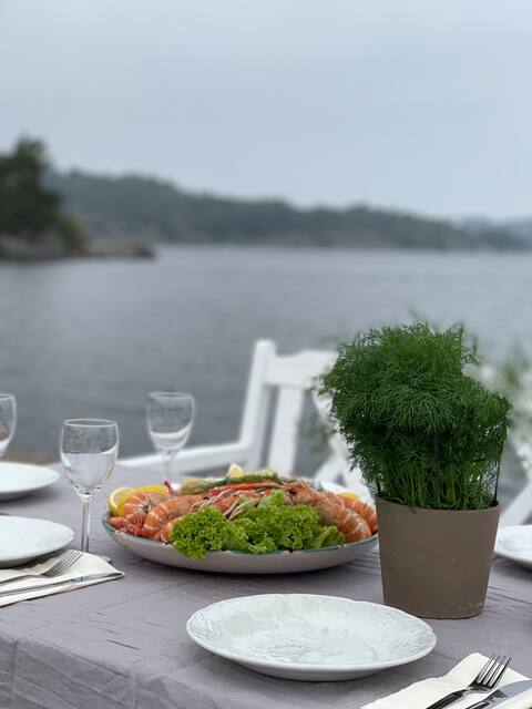 Child-friendly summer paradise. Sea property. Dock.