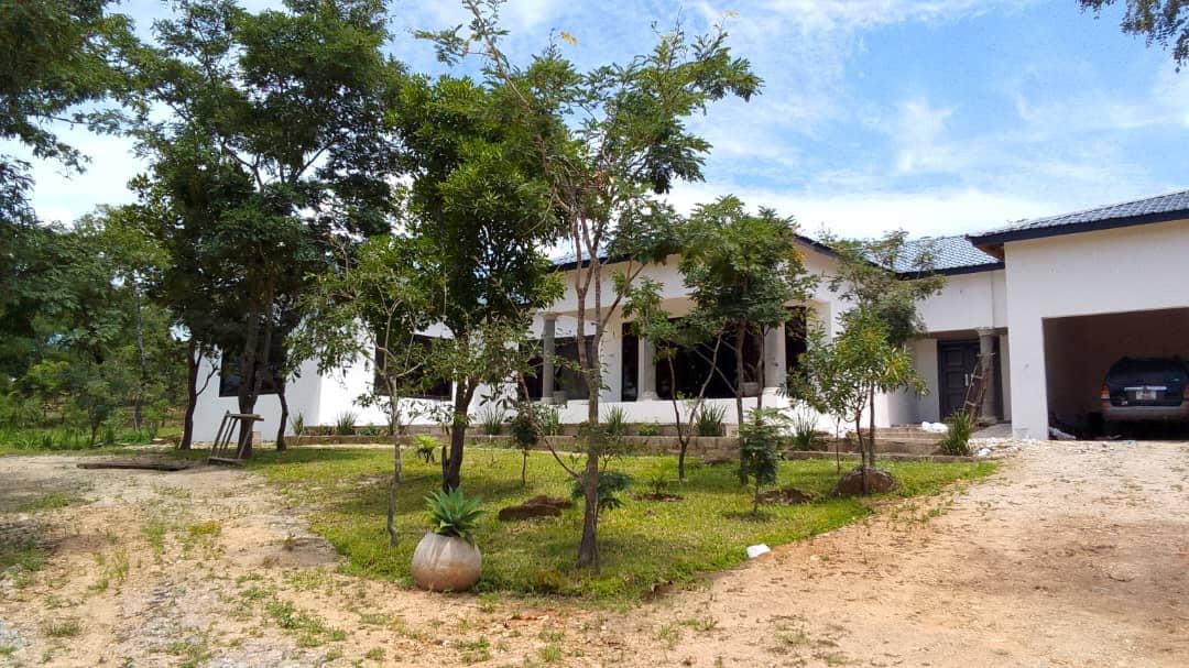A modern house is surrounded by lush greenery and trees, providing a tranquil setting. The structure includes large windows that offer ample natural light. A parking area is visible on the right side, along with a pathway leading to the entrance.