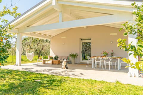 Casa RiVa - Among olive trees and the Tuscan coast