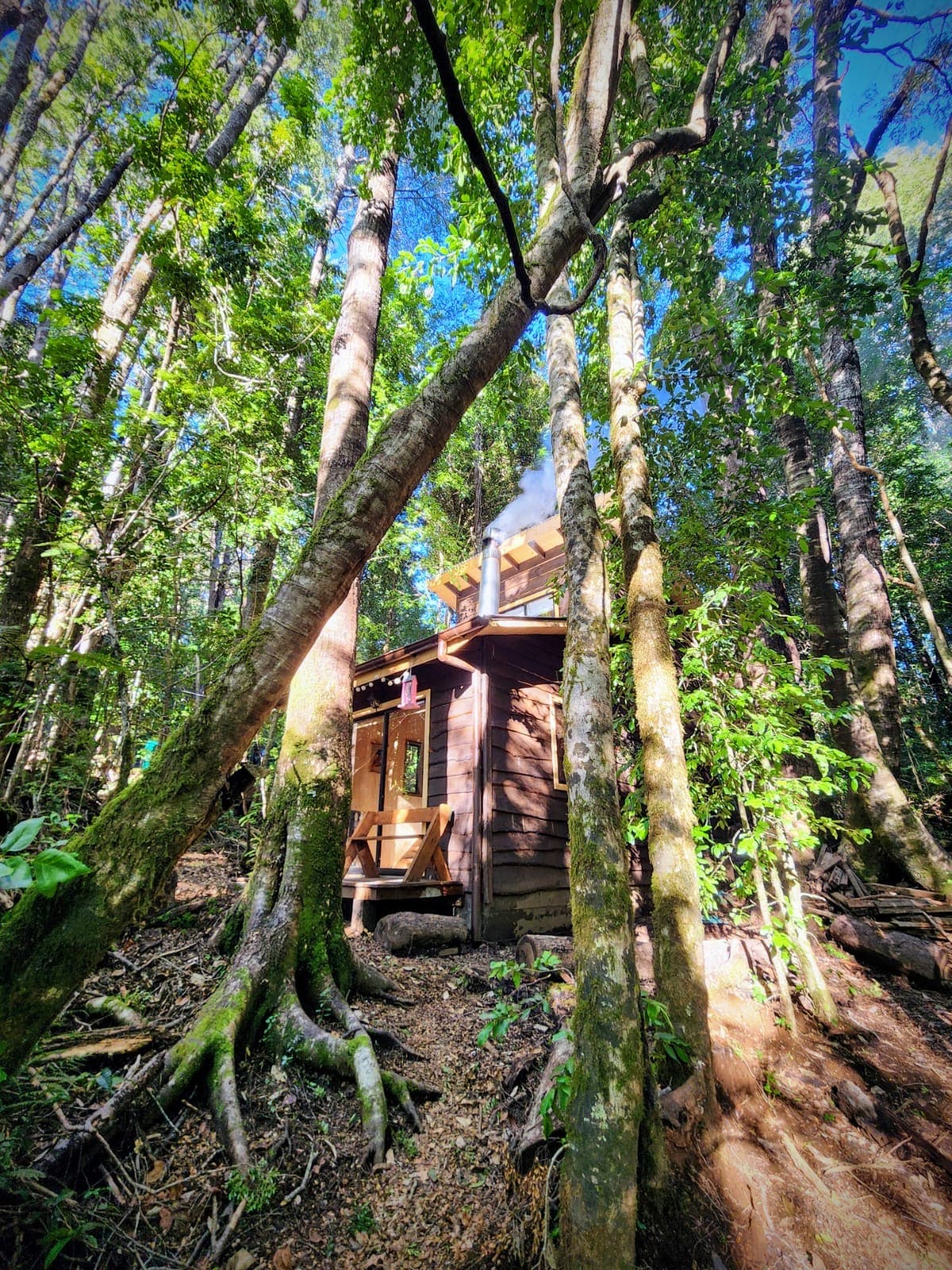 The cabin is nestled among tall trees in a verdant forest, showcasing natural surroundings. Sunlight filters through the leaves, casting shadows on the wooden structure. A cozy outdoor seating area is visible on the porch, inviting guests to enjoy the tranquil atmosphere.