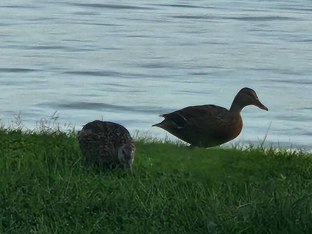 Vivere in relax sul lago gallery image 2