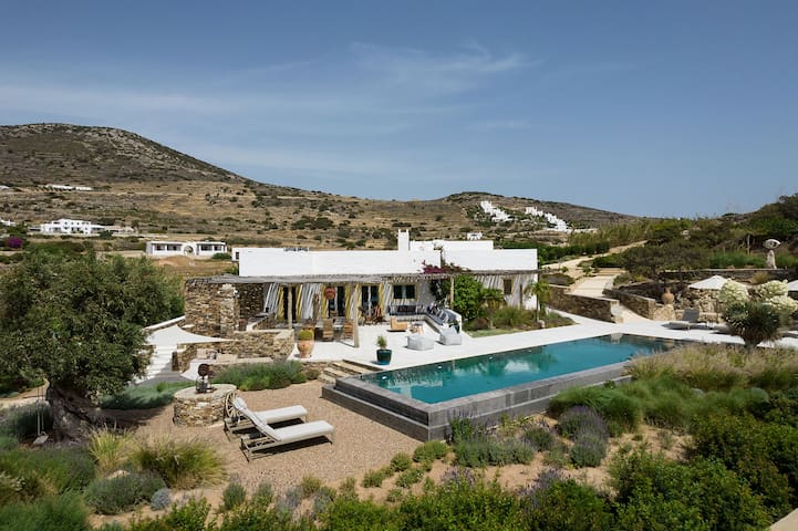 House of Old Olive Tree