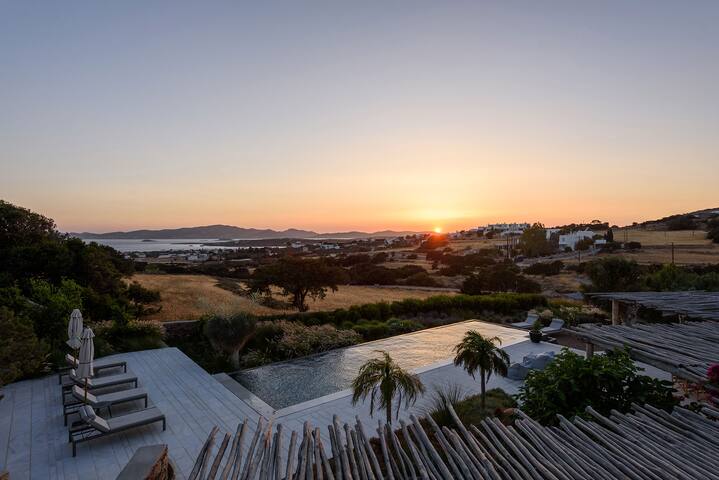 House of Old Olive Tree gallery image 3