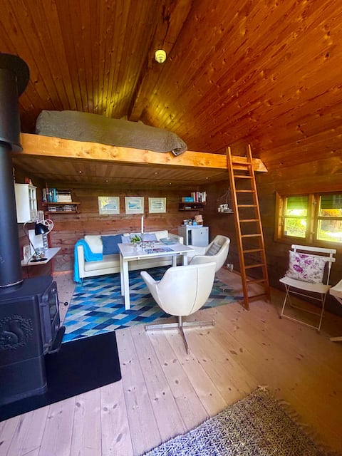Successful Airbnb property: Cabin by the forest in Slagelse