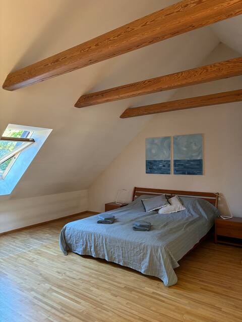 Bright & Cozy Ventins House