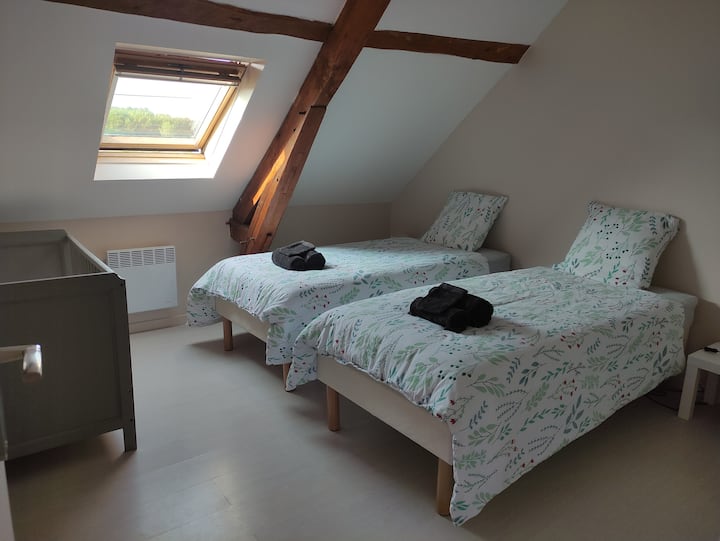 Habitación 1