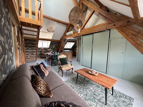 Annonce Airbnb populaire: Apartment in the city center à Lons Le Saunier