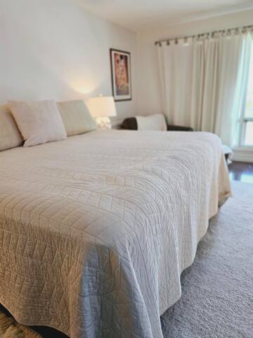 Evergreen Forest gallery image 5