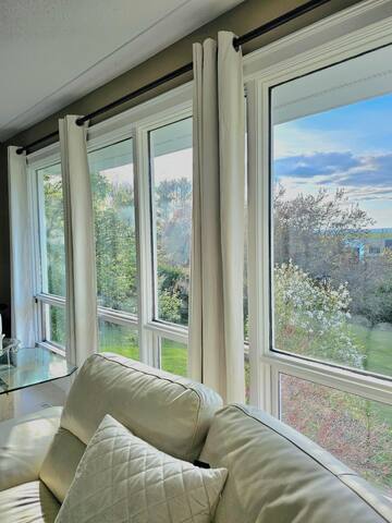 Evergreen Forest gallery image 3