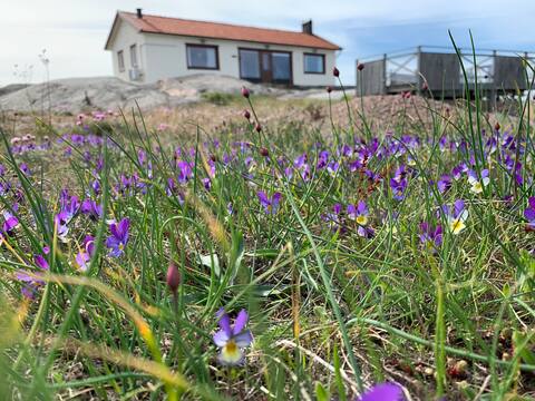 Ramsvik by the Sea