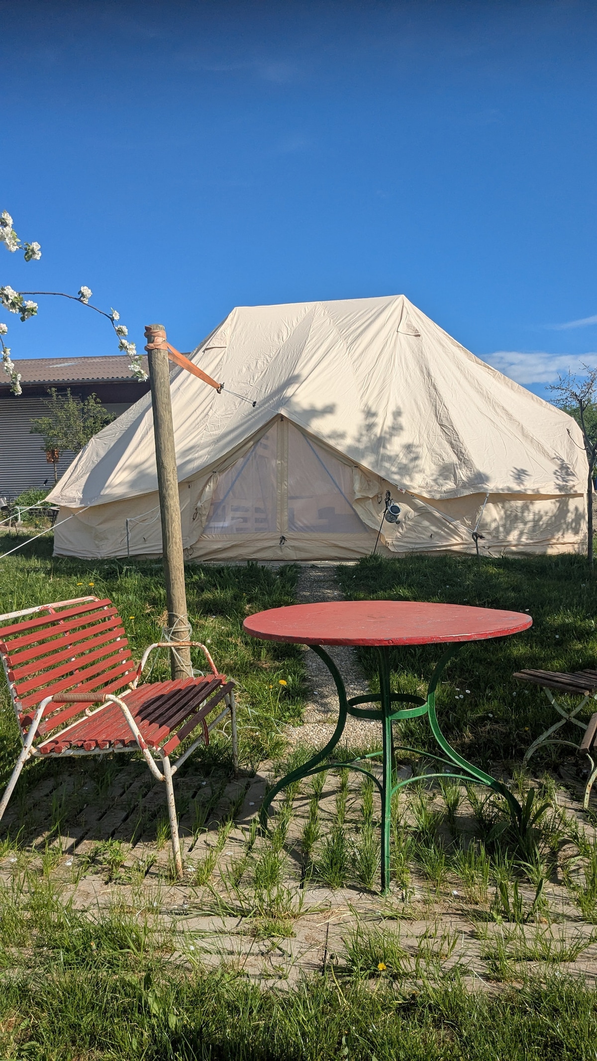 A spacious glamping tent is set in a green outdoor area, framed by blossoming trees and blue skies. A round table with red accents and two striped chairs provide a relaxing seating space, inviting guests to enjoy the natural surroundings.
