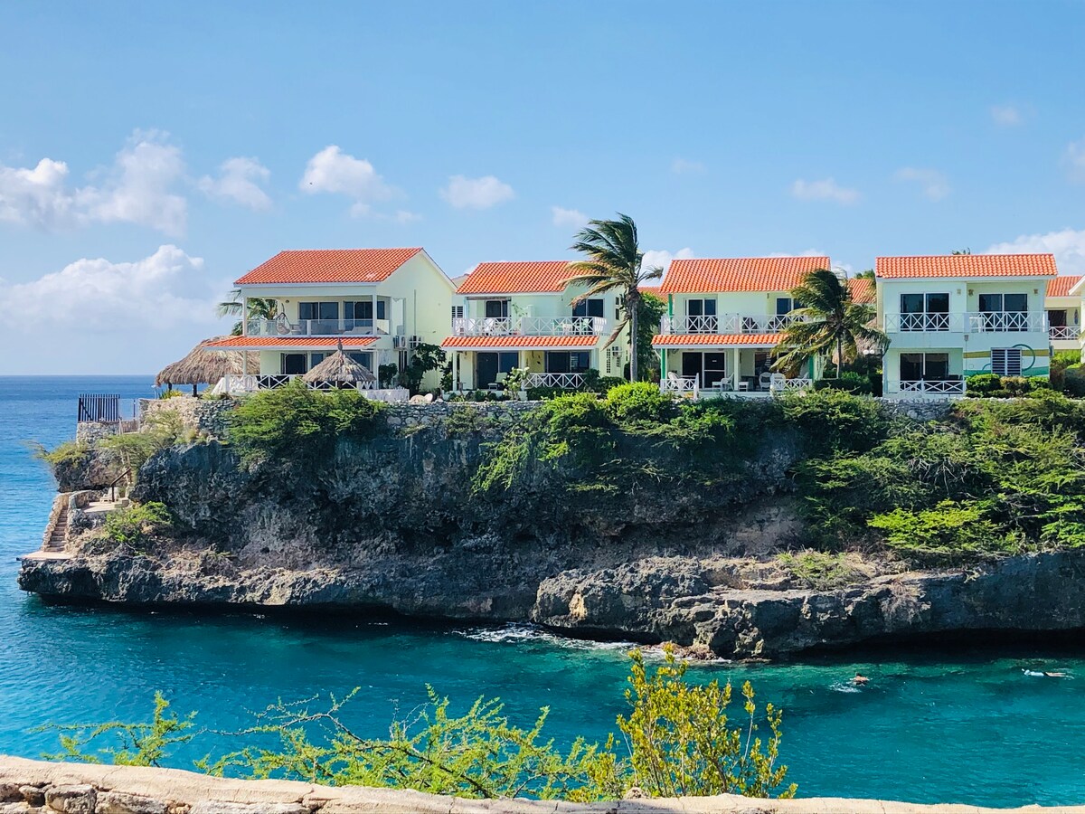 A row of charming waterfront condos is visible atop a rocky coastal ledge, featuring terracotta roofs and balconies. The vibrant blue sea surrounds the area, with gentle waves lapping at the shoreline, while palm trees sway softly in the breeze.