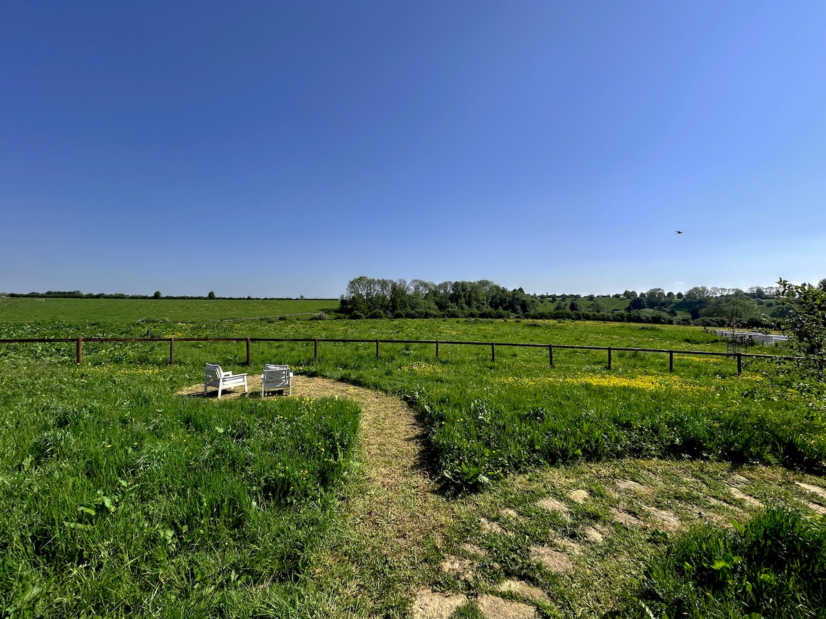 A scenic outdoor area features two large armchairs positioned along a winding pathway, overlooking a vast organic meadow. The expansive green landscape is dotted with trees and framed by a wooden fence under a clear blue sky.