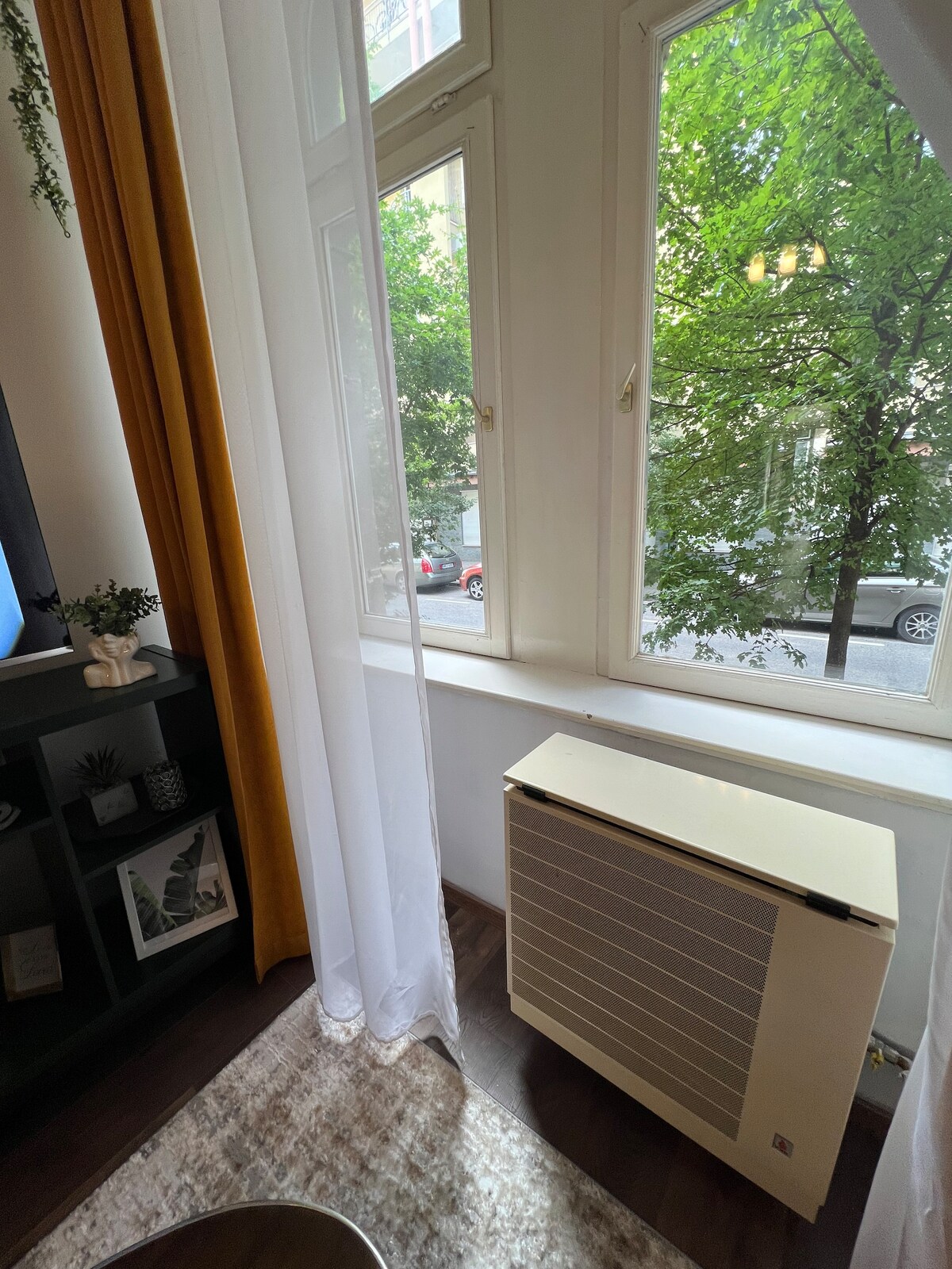 Large windows framed by sheer white curtains allow natural light to filter into the room, creating a bright atmosphere. An air conditioning unit is positioned below the windows, while a rug covers the dark hardwood floor. Outdoor greenery and glimpses of the street are visible.