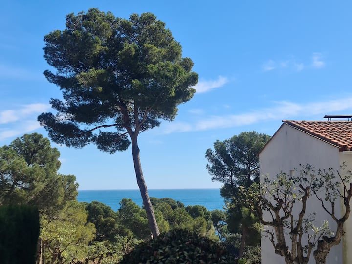 Sea View Apartment With Ac Short Walk To Beach - Llafranc