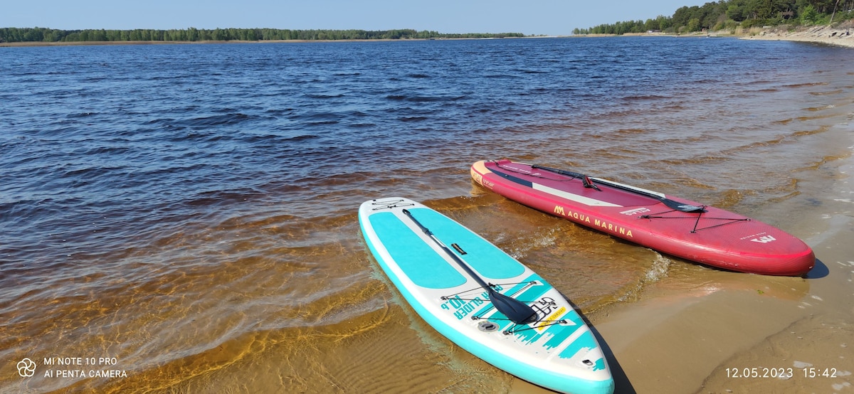 Two paddle boards are positioned on a sandy beach, with calm water stretching across the foreground. The shore is lined with tall trees in the distance, under a clear blue sky. The sandy area is inviting and suitable for various water activities.