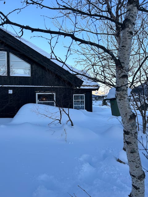 Welcome to Meisbu on Fjellsætra