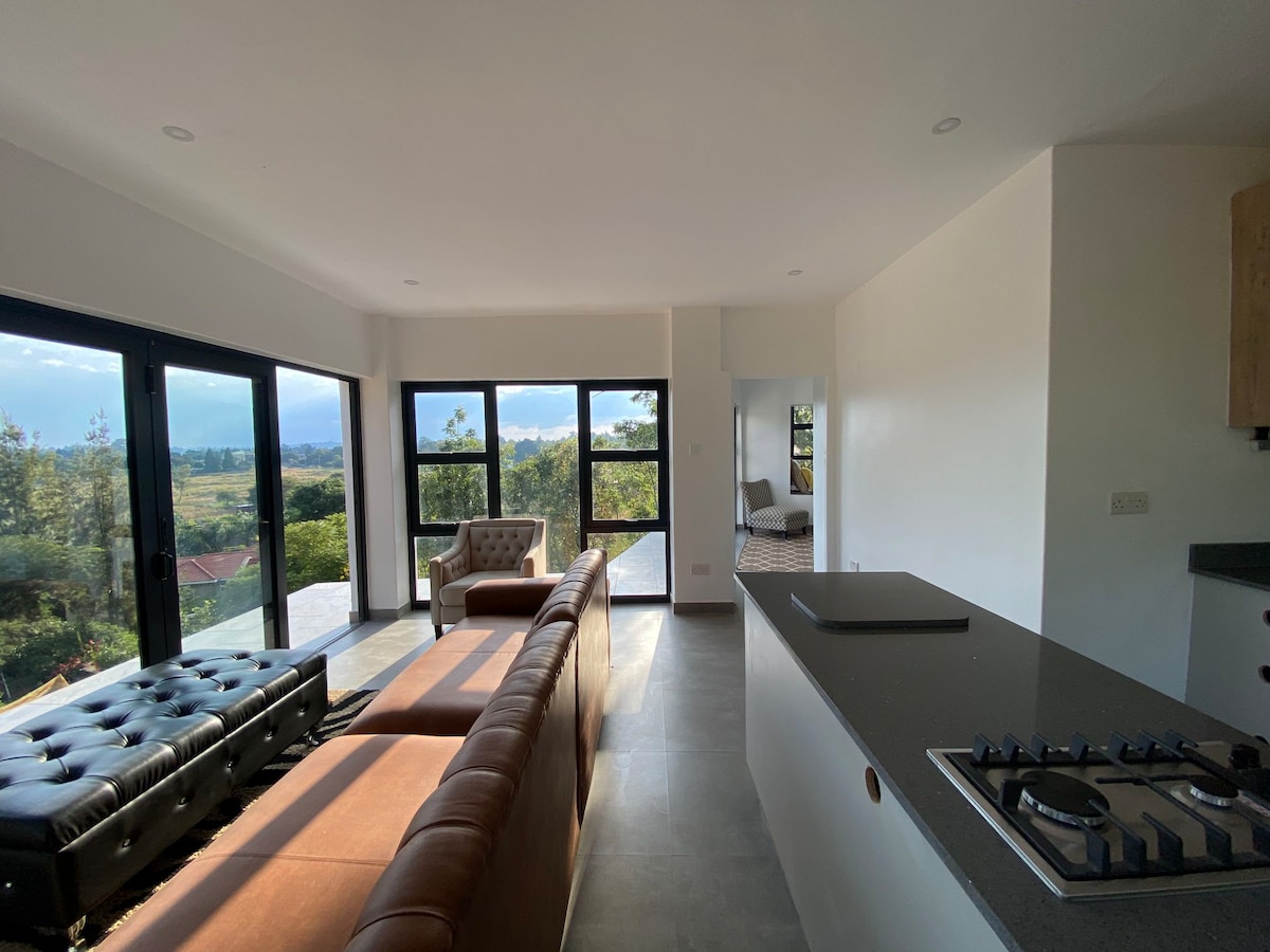 The Treetop Penthouse — Open-plan minimalist lounge