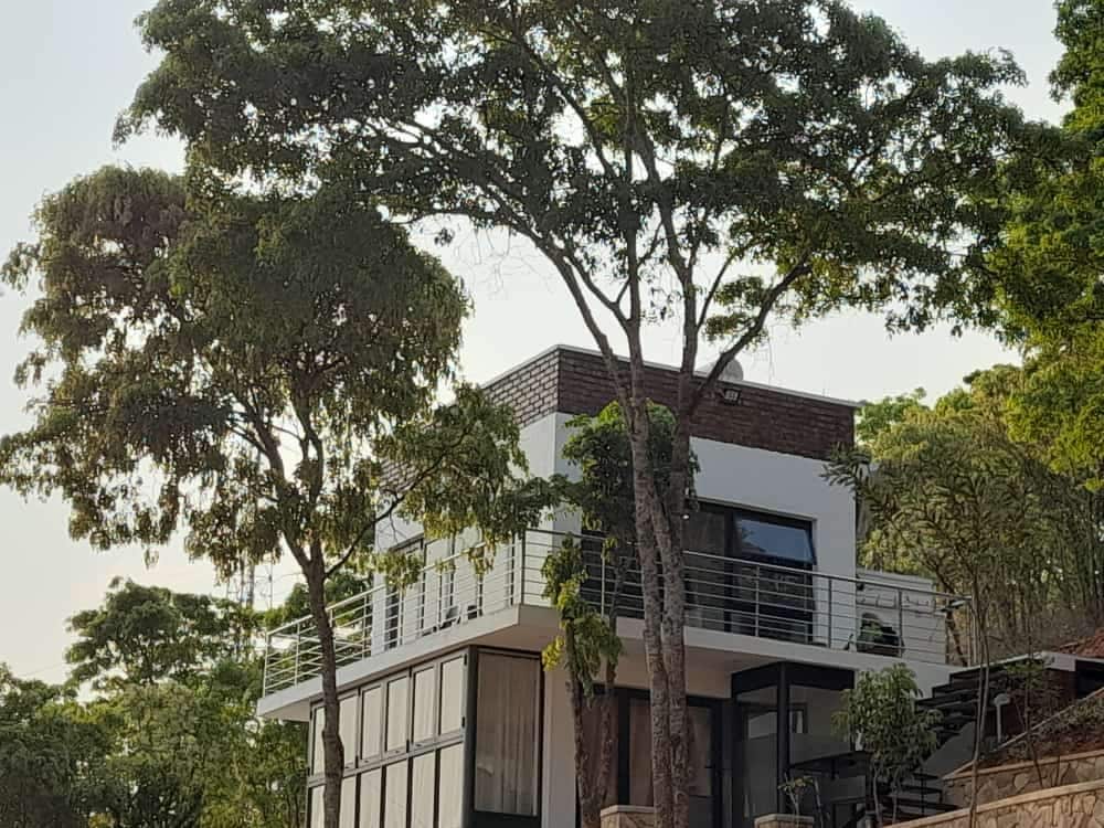 The Treetop Penthouse — Golden-hour skyline