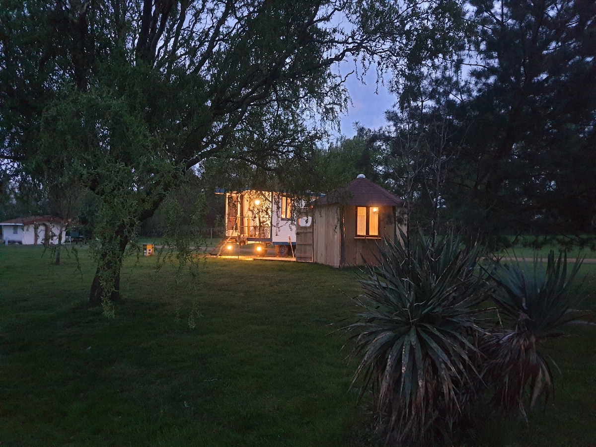 The image captures a cozy wooden structure illuminated by warm lights, set amidst lush greenery. A tree branches overhead, creating a natural canopy. Nearby, a vibrant plant adds texture to the landscape, which features open, grassy areas around the dwelling.
