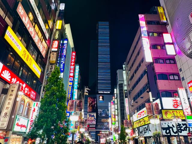 三室一厅日式房间，新宿JR站东口步行800米，地铁站300米，歌舞伎町繁华地段200米 gallery image 5