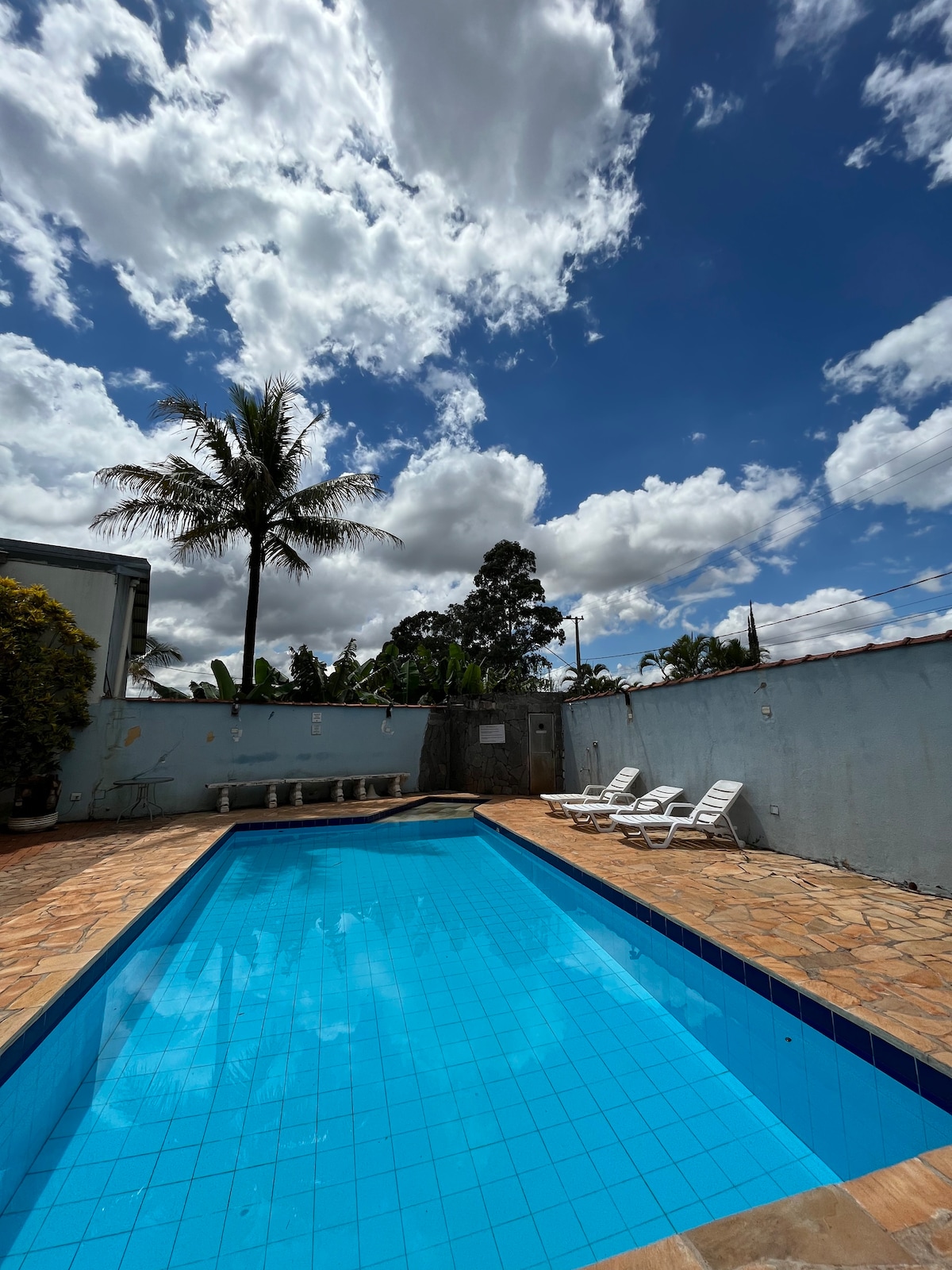 A clear swimming pool sits under a bright sky filled with clouds. Lounge chairs are arranged neatly along the poolside, complemented by the presence of a palm tree in the background. The surrounding area is highlighted by a light-colored wall.