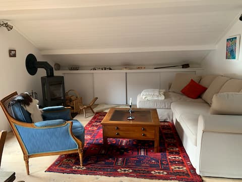 Top performing Airbnb: A cocoon in the mountains in La Chapelle D'abondance