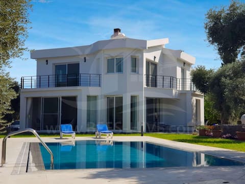 Mansion with pool&pavillion