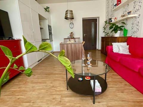 A well-equipped and cozy apartment in Pilsen