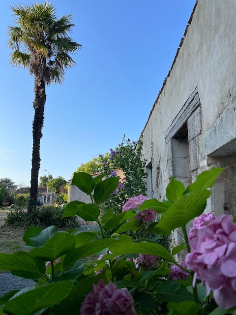 Saint Pierre Domaine Manilea Gîte with Pool