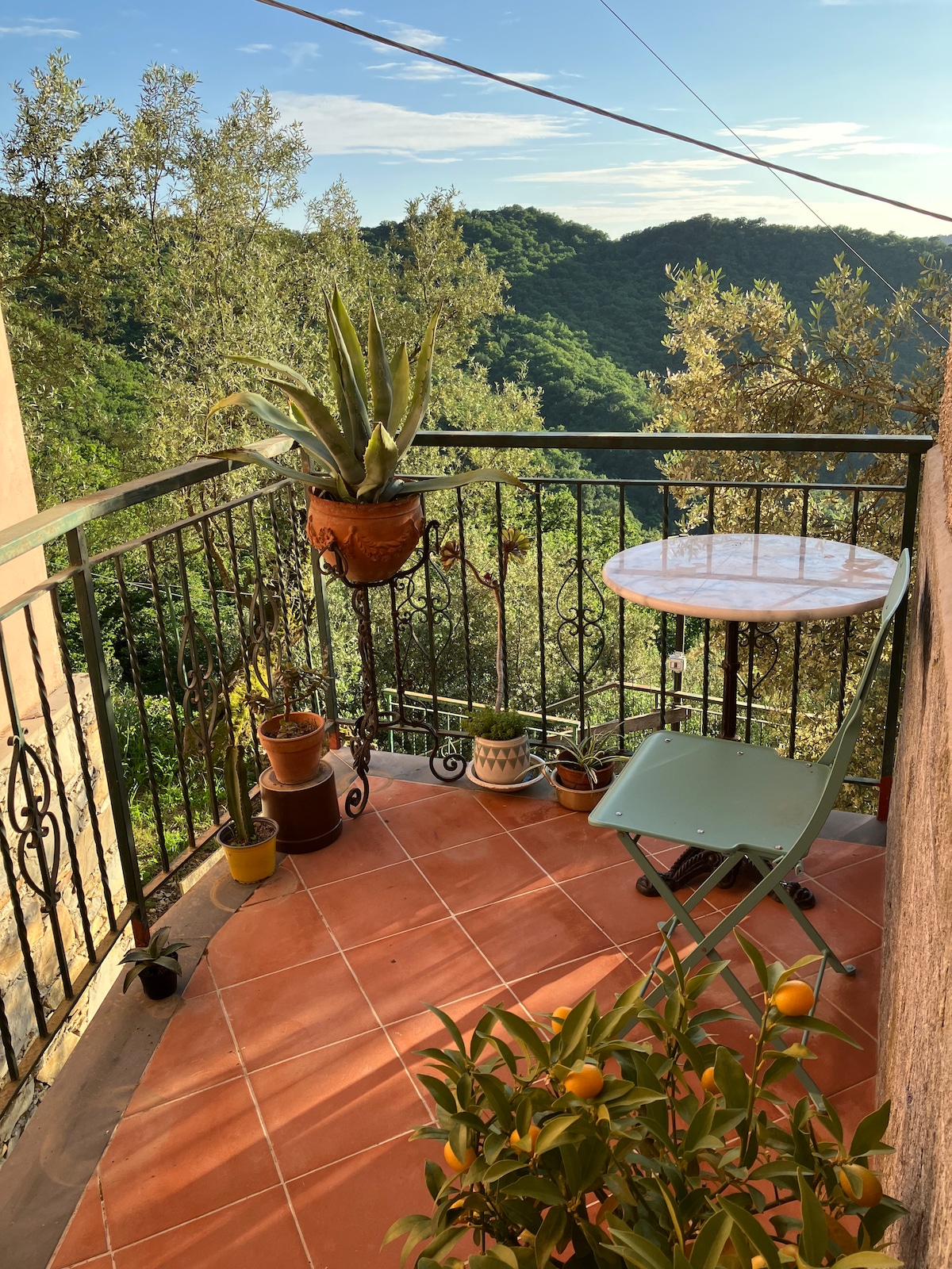 A small terrace is adorned with potted plants and an ornamental Aloe Vera. A round table rests against the railing, offering a view of the surrounding hills and greenery. The tiled floor adds a rustic charm, creating a peaceful outdoor space.