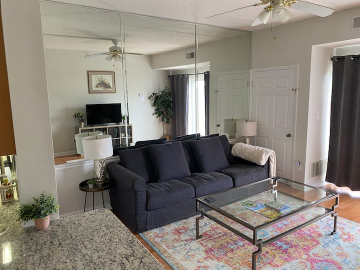 Spotless 1br 1ba Near Carowinds/ballantyne/clt - Fort Mill, SC