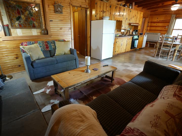 Rustic Wilderness - Pets, Deck & Grill - Cloudcroft, NM
