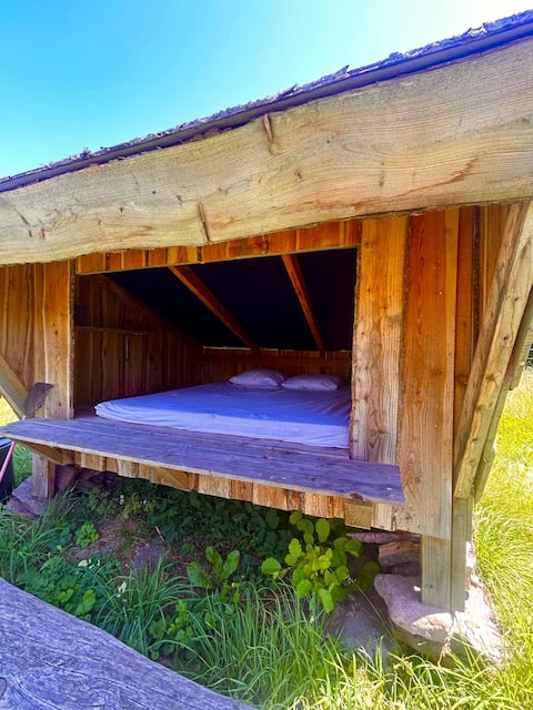 Popular Airbnb listing: Private shelter by the forest in Slagelse