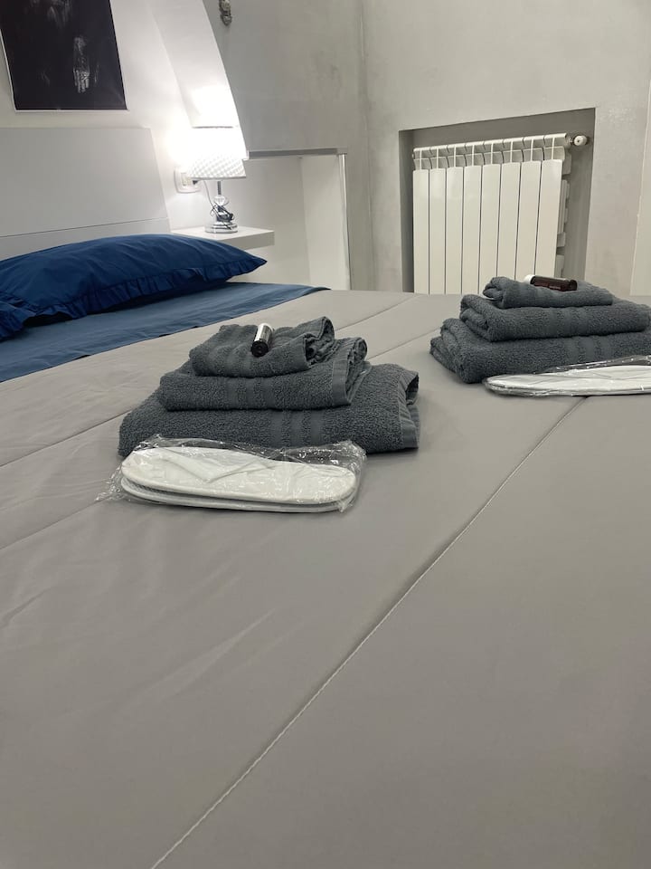 Ორადგილიანი ოთახი აღჭურვილია კონდიციონერითა და ტელევიზორის რადიატორებით 