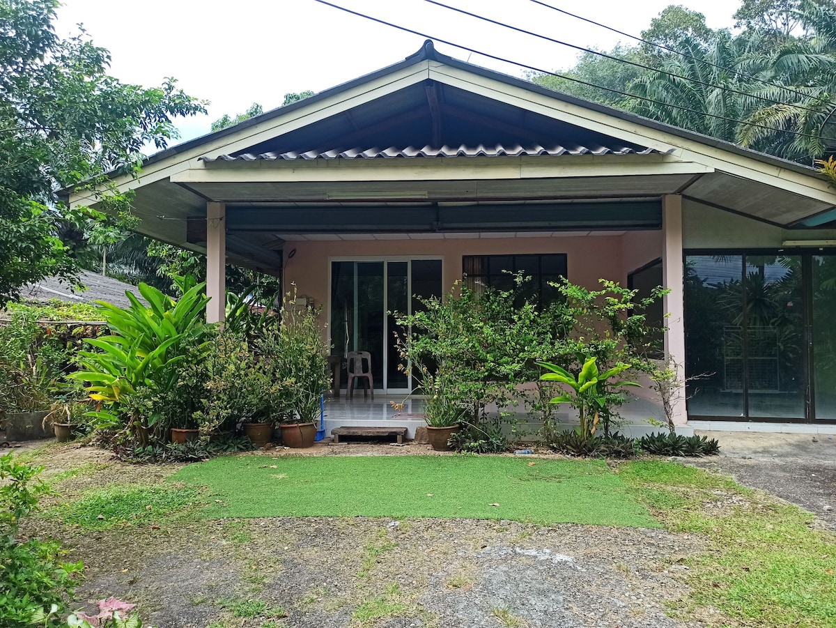 A single-story house is seen surrounded by greenery. Potted plants and shrubs are arranged along the porch, while a small area of artificial grass leads to the entrance. Large glass doors provide a view into the interior space, which is bathed in natural light.