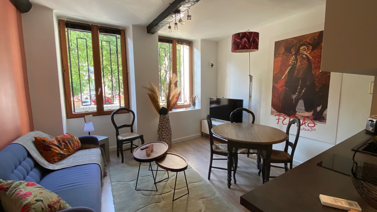 Proprietà Airbnb di successo: Cozy renovated 2-room apartment, hyper-central a Nîmes