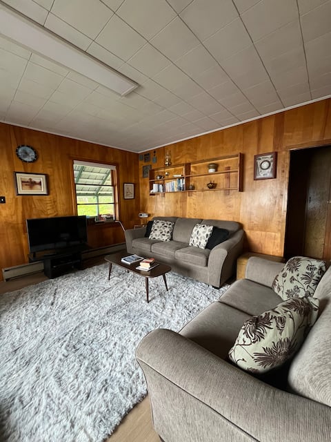Top performing Airbnb: Shuswap Lake beachfront home in Columbia Shuswap F