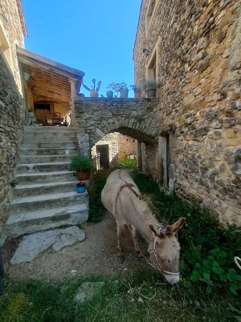 Gite at Marcel's farm.