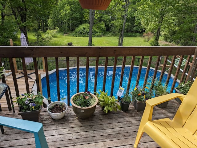 Heated Pool, Gym, A/C – weekly/monthly discounts