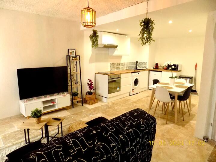Carnica ~Centre Historique - Wifi *Parking* - Manosque