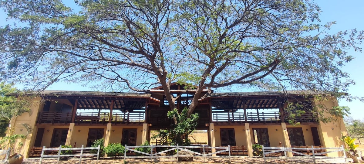 The two-story guest house features a spacious outdoor area defined by a large tree providing natural shade. Balconies are visible on both levels, with wooden railings that enhance the structure's connection to nature. Lush greenery is present in the surrounding landscape.