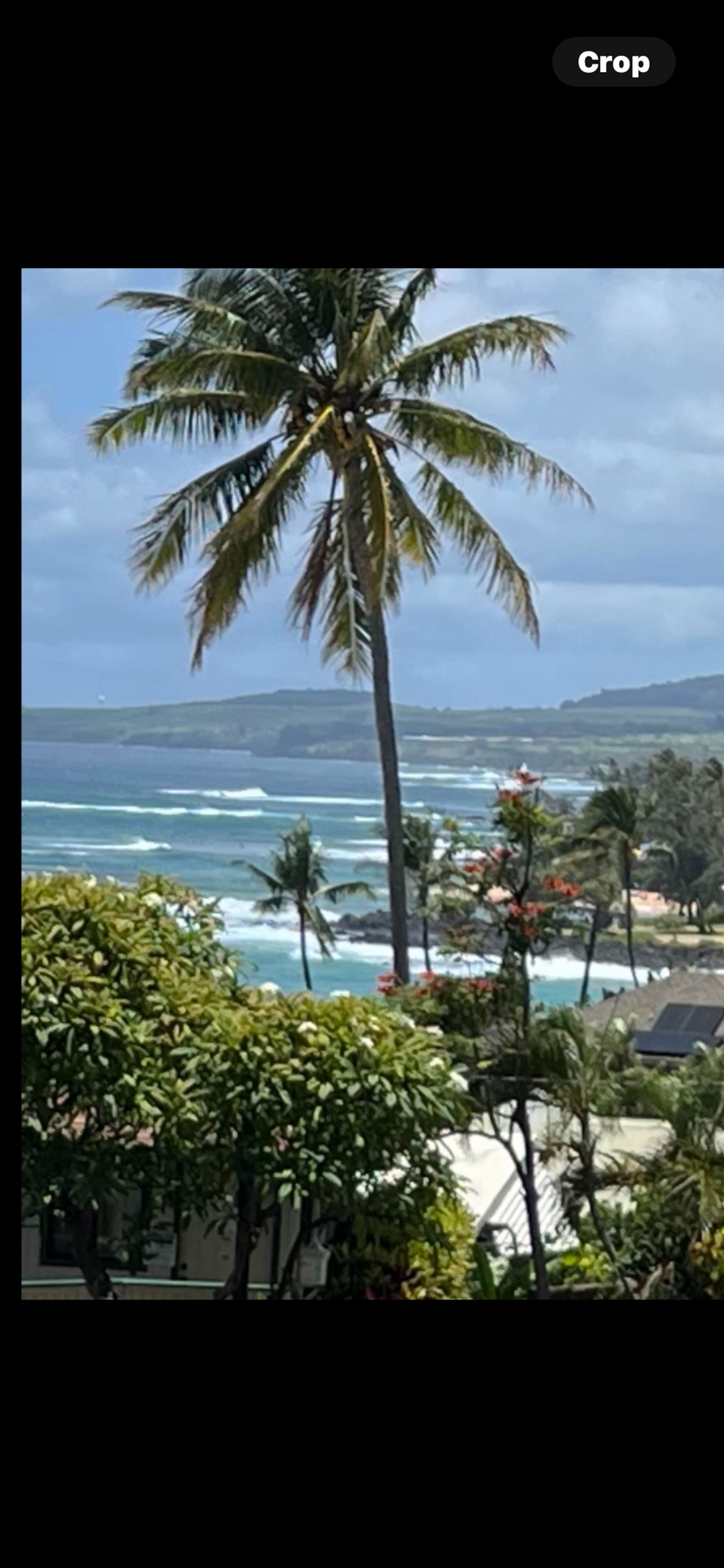 Old School Ocean Views - Photo 25
