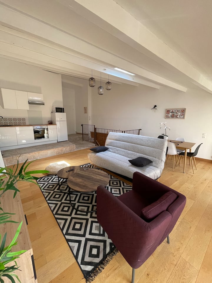 Caucasica ~Centre Historique - Wifi *Parking* - ibis Manosque Cadarache