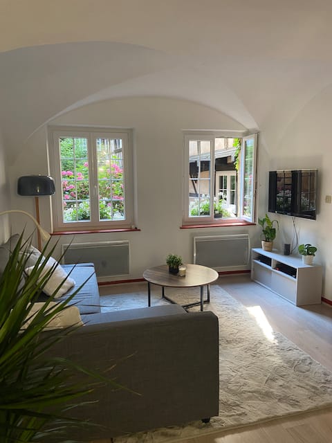 Airbnb performant: Charming 2-room apartment à Bourse Esplanade Krutenau