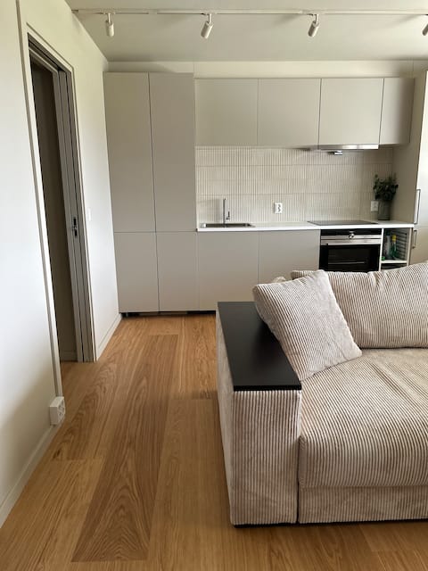 Newly renovated Central Apartment. Electric Car Charger in Garage