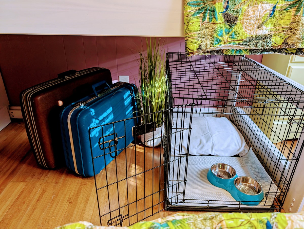 A cozy corner showcases a pet crate beside two blue food bowls on a white mat. Two suitcases are stacked nearby, with a potted plant providing a touch of greenery. A colorful blanket partially covers the area, adding a vibrant detail.