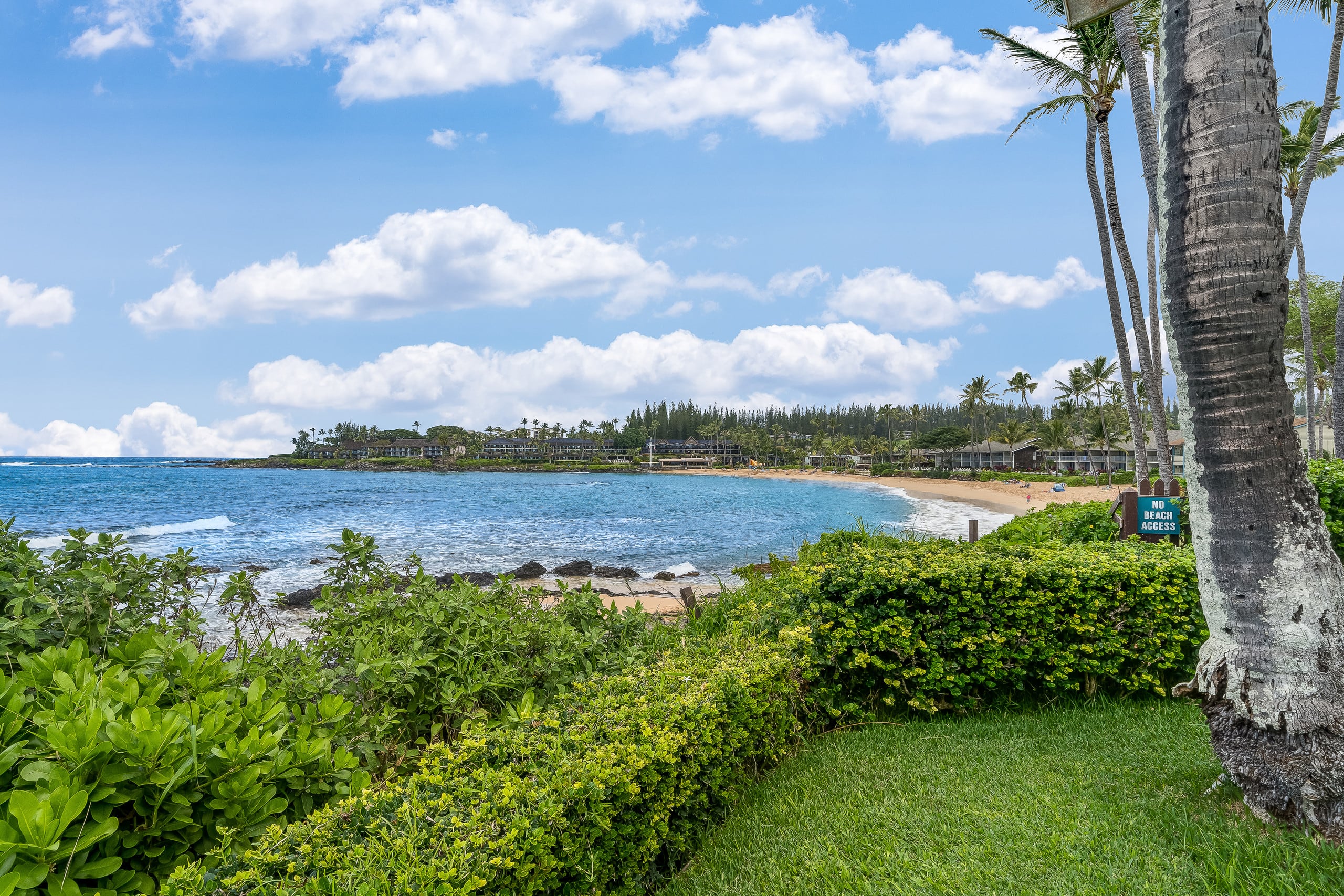 Condo in Lahaina · ★4.74 · 1 bedroom · 2 beds · 1 bath - Image 49